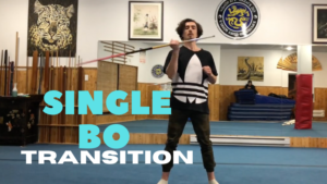 Single Bo Transtion