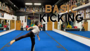Basic Kicking For Tricking
