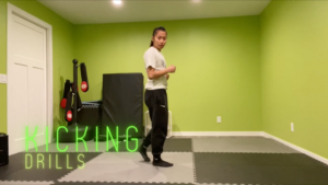 Basic Kicking Drills